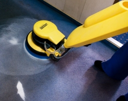Cleaning of carpets 
