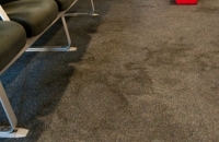 Cleaning of carpets